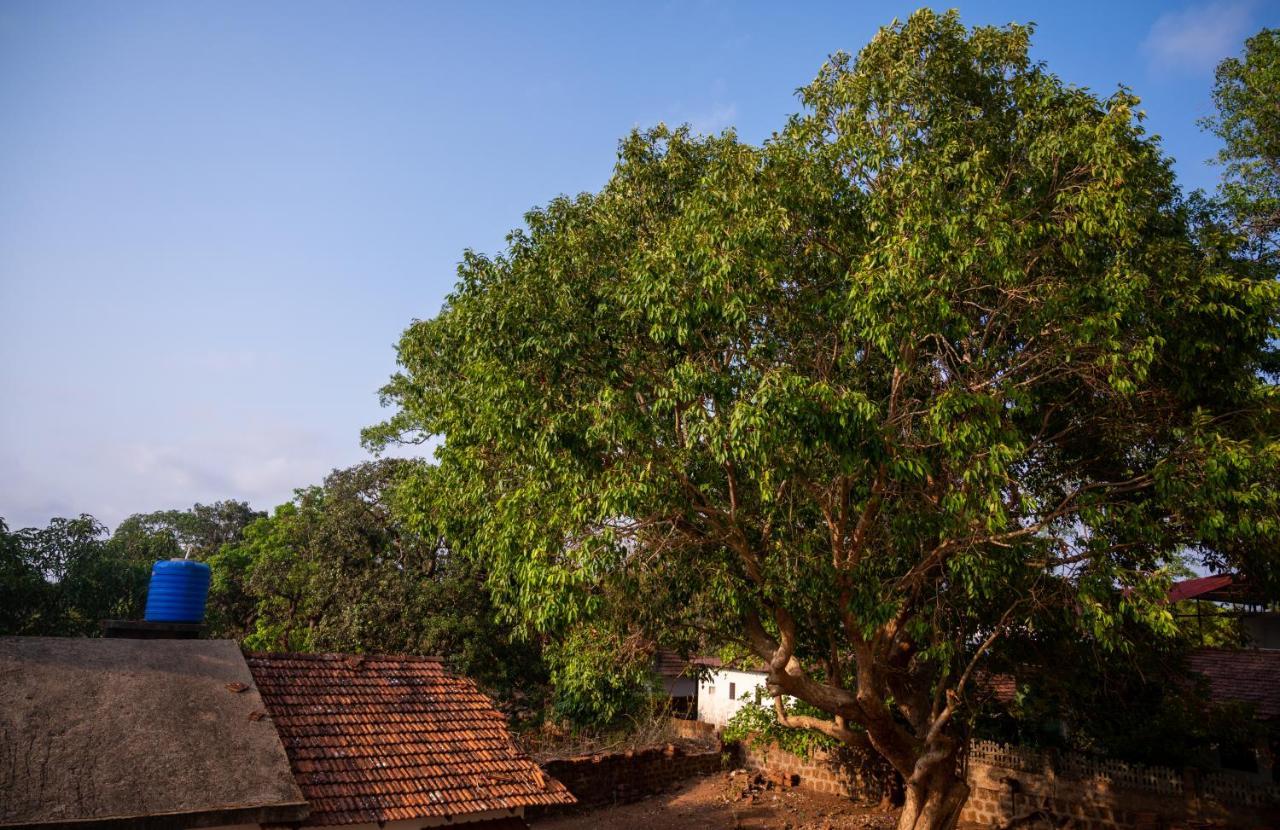 La Oasis By Meraden ,Goa Anjuna Ngoại thất bức ảnh