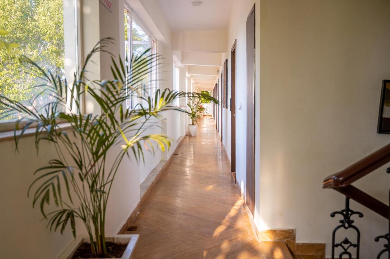 La Oasis By Meraden ,Goa Anjuna Ngoại thất bức ảnh